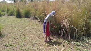 Video Panas Desi Di Kebun: Petani Nakal Dan Buruh Kasar Beraksi
