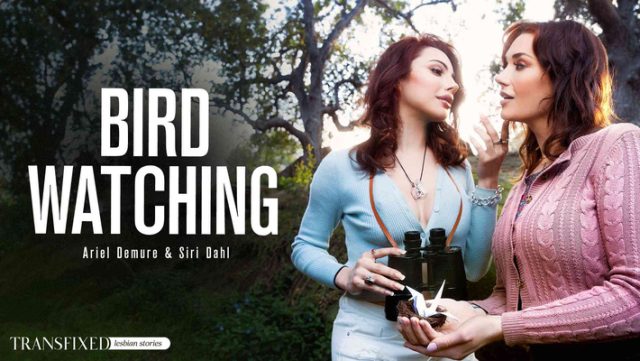 Pengintip Burung Dijamin Makin Liar—siap-siap Nonton Trans Bikin Tegang!